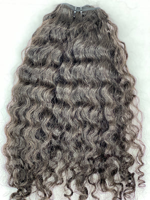 Bougie  Burma Lavish Curl